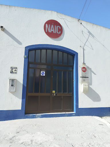NAIC - Nova Aliança Igreja Cristã